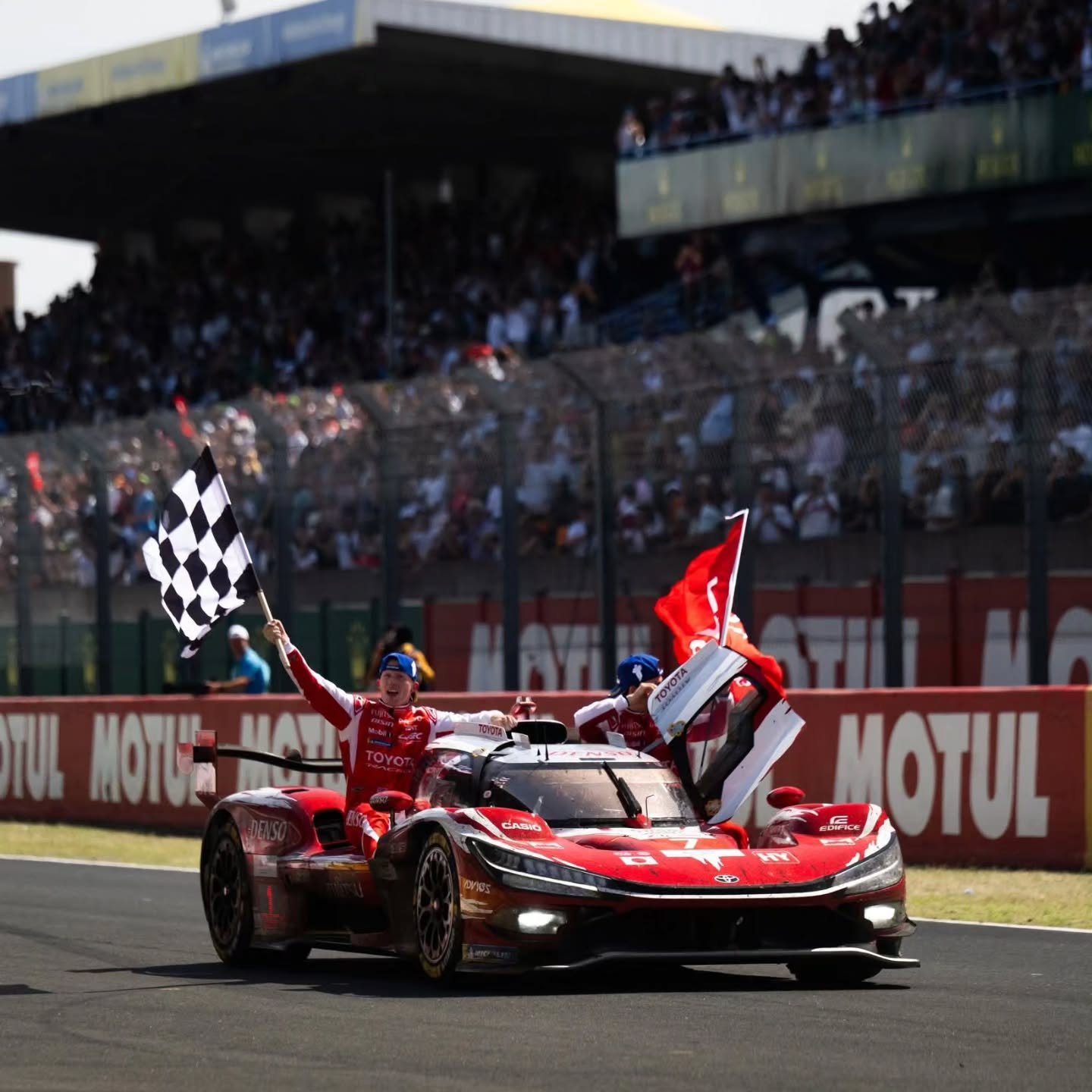 Illustration of Mike Conway celebrating a Toyota Racing victory at Le Mans